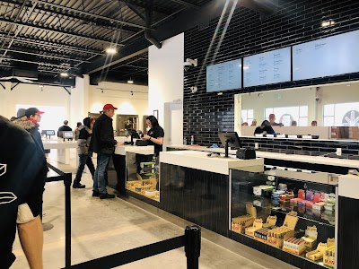 One Plant - Barrie Essa Road