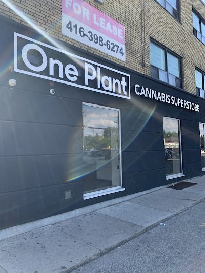 One Plant - Bathurst and Wilson