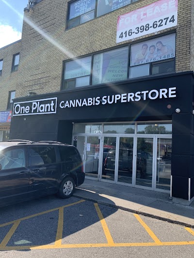 One Plant - Bathurst and Wilson