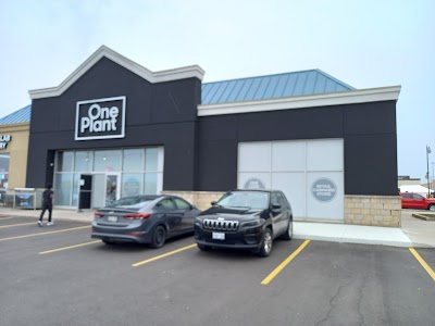 One Plant - Brampton