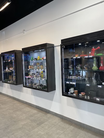 One Plant - Cambridge