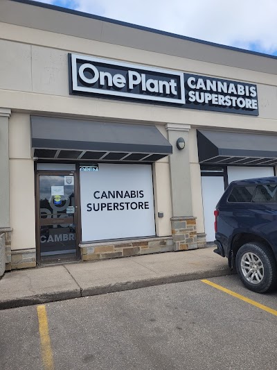 One Plant - Cambridge