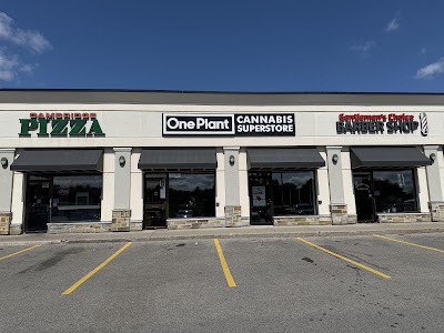 One Plant - Cambridge