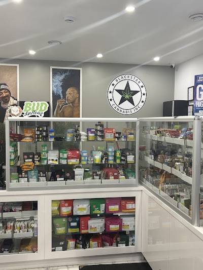 One Plant Cannabis - Burnhamthorpe