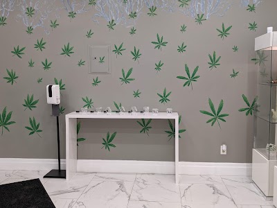 One Plant Cannabis - Burnhamthorpe