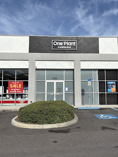 One Plant Cannabis - Clearwater