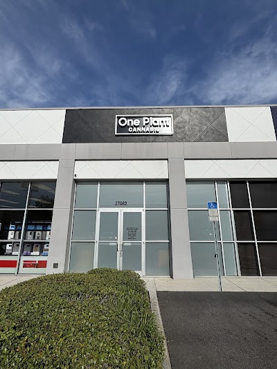 One Plant Cannabis - Clearwater