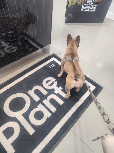 One Plant Cannabis - Hamilton