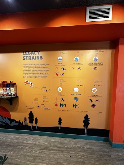 One Plant Cannabis - Sheppard Ave