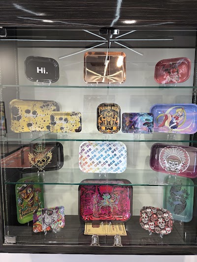 One Plant - Cornwall