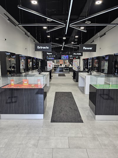 One Plant - Cornwall