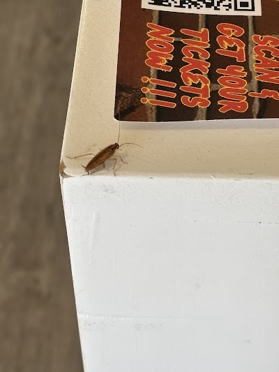 One Plant Dispensary - Salinas