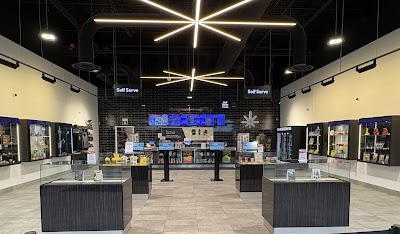 One Plant - Kingston