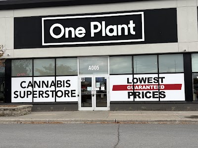 One Plant - Kingston
