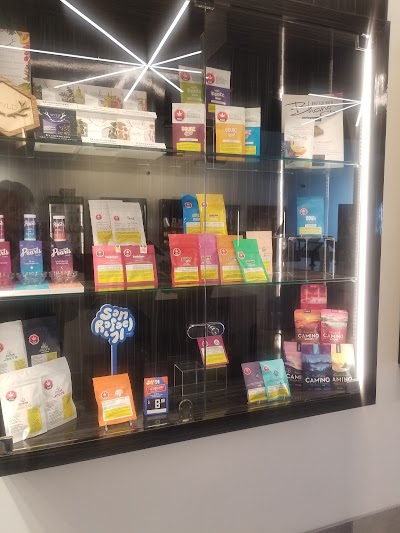 One Plant - Kingston