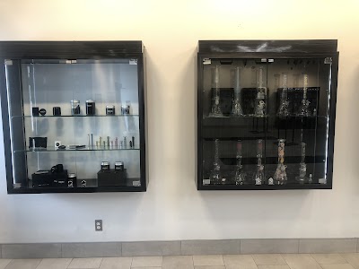 One Plant - London (Wonderland)