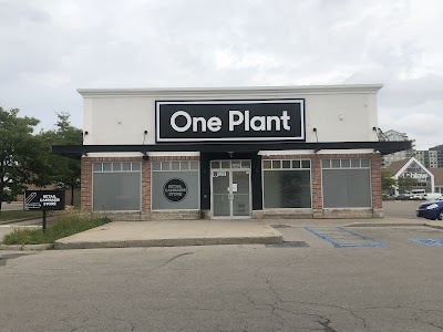 One Plant - London (Wonderland)