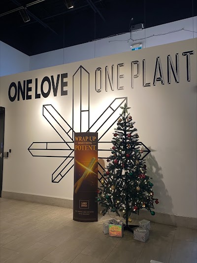 One Plant - Masonville