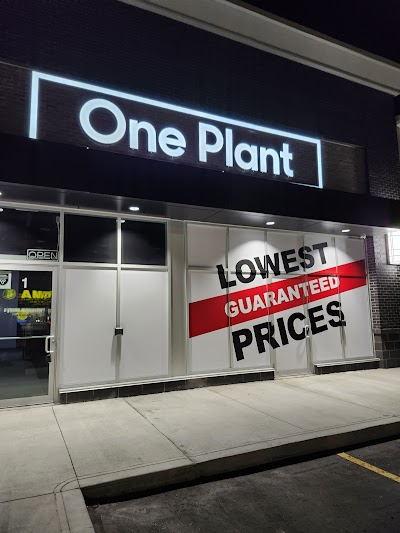 One Plant - Mississauga (Dixie Dundas)