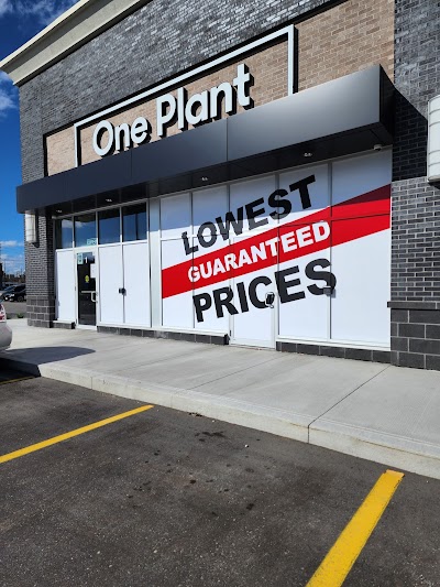 One Plant - Mississauga (Dixie Dundas)