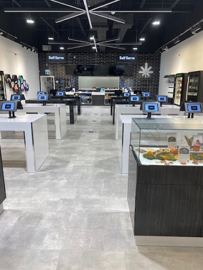 One Plant - North York