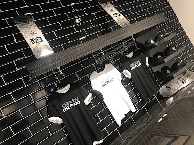 One Plant - North York