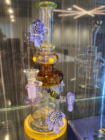 One Plant - North York