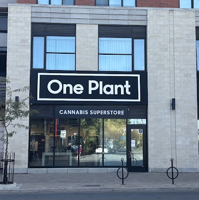 One Plant