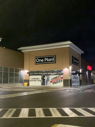 One Plant - Stoney Creek