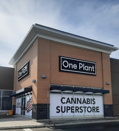 One Plant - Stoney Creek
