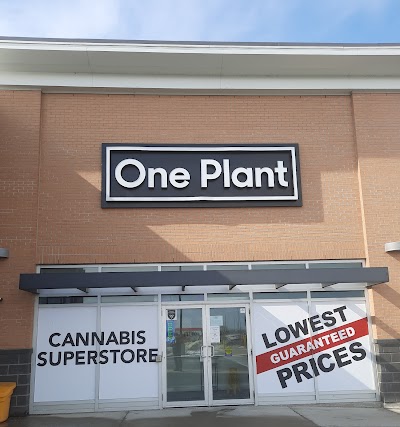 One Plant - Stoney Creek