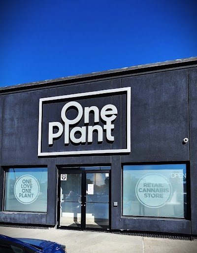One Plant - Windsor (Walkerville)