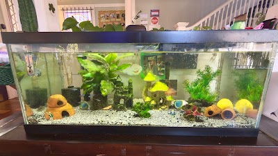 Oregon Weedery Dispensary