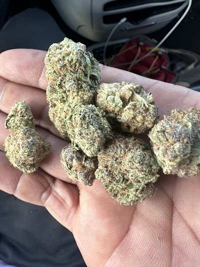 Organic Remedies Dispensary