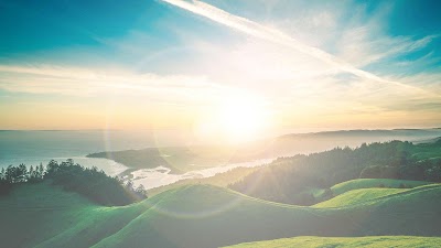 Organic Remedies Dispensary