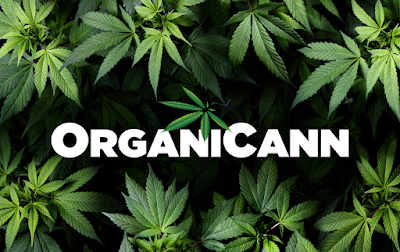 OrganiCann