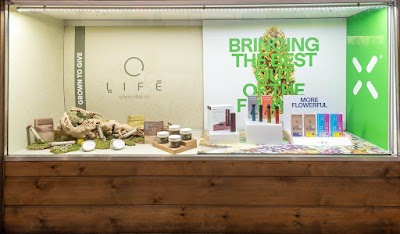 Original Green Cross Cannabis Dispensary