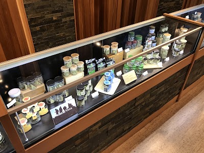 Origins Cannabis West Seattle Marijuana Dispensary