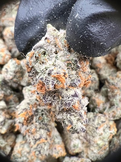 Pagosa Craft Dispensary