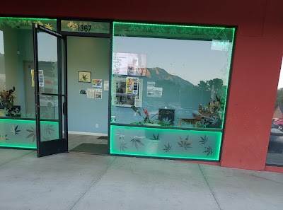 Pal's Collective - Bishop