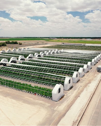 Pecos Valley Production - Dispensary & Wholesale