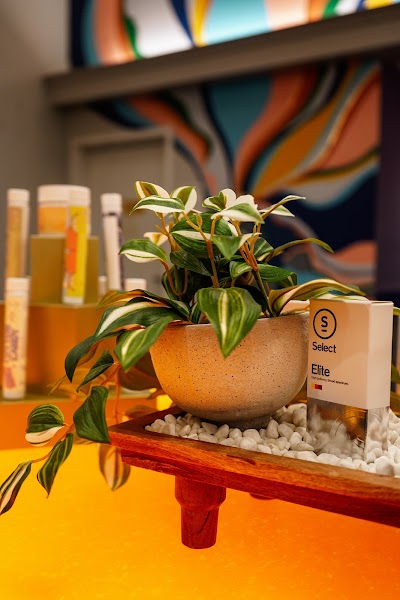 Pettals Cannabis Dispensary - Attleboro