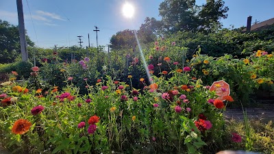 Pharmhouse Wellness Weed Dispensary Grand Rapids