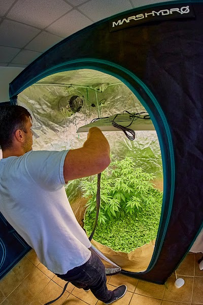 Piedmont Green Dispensary