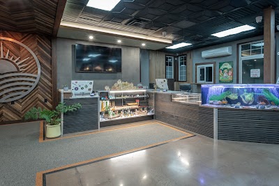 Pioneer Valley Trading Company