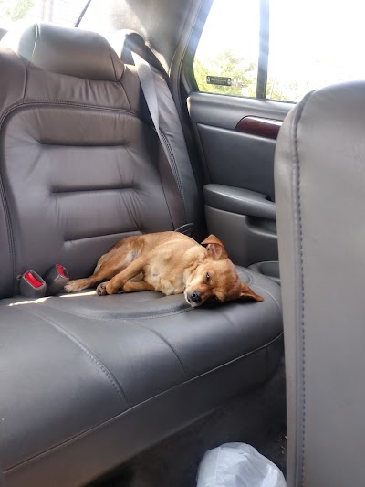 Plan B Wellness Center