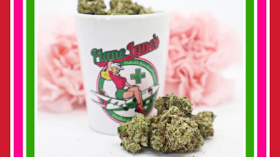 Plane Jane's Dispensary