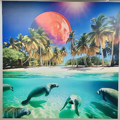 Planet 13 Neighborhood Dispensary Bradenton