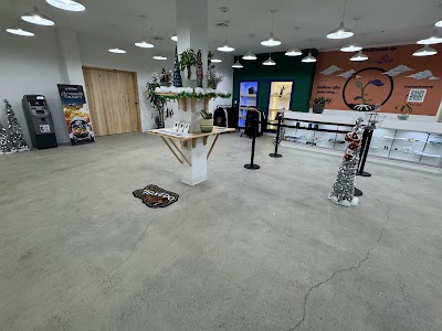 Plant Base Dispensary