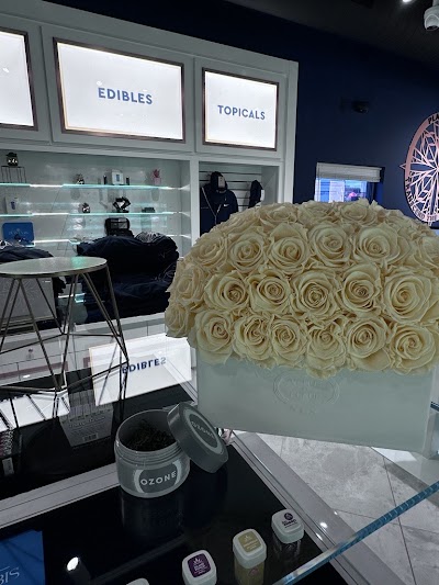 Plantabis Dispensary